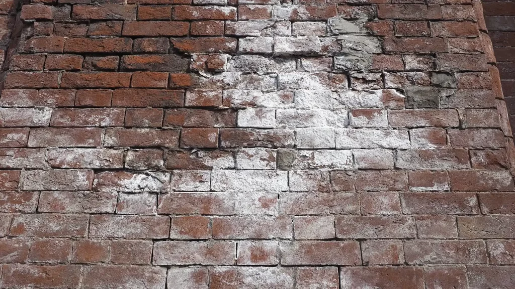 efflorescence on brick, white power on brick