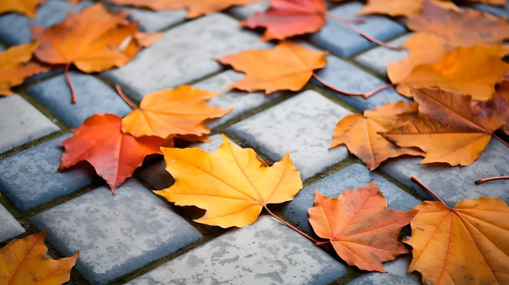 Installing Brick Pavers in Fall: Costs, Maintenance, and More